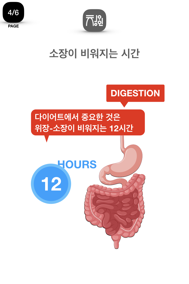 diet story-08.027.jpeg